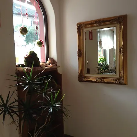 Daniela Мерано