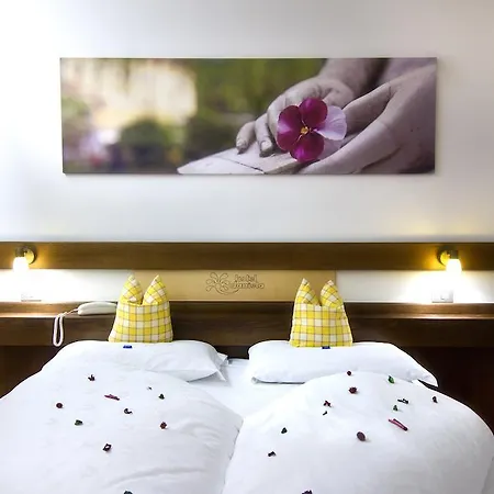 Hotel Daniela 3*